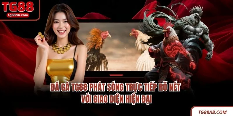 Đá gà TG88 phát sóng trực tiếp rõ nét với giao diện hiện đại